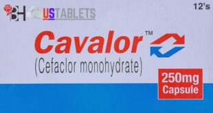 An image representing the vitality and well-being promoted by Cavalor Capsule.